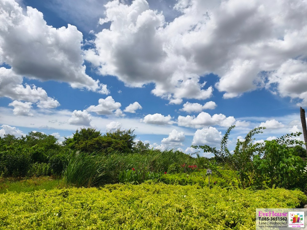 Land for sale, on Setthakit Road 1, Krathum Baen Samutsakorn. ( 6 lane road ) Size 7 rai 3 ngan Very wide front. price 36,106 baht./sq.wa. – รูปที่ 3