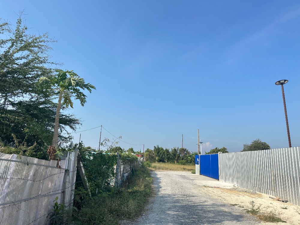 B001-1 Land for rent near Wat Buaphan B001-1 Land for rent near Wat Buaphan