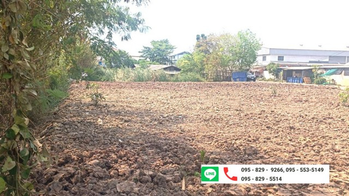 ขายที่ดินถูกถมแล้ว 200 ตรว. แปลงหัวมุม ทางหลวงหมายเลข 345 (ถนนราชพฤกษ์) ใกล้โรบินสัน,รร.สารสาสน์วิเทศ ต.คลองข่อย อ.ปากเกร็ด นนทบุรี ขายที่ดินถูกถมแล้ว 200 ตรว. แปลงหัวมุม ทางหลวงหมายเลข 345 (ถนนราชพฤกษ์) ใกล้โรบินสัน,รร.สารสาสน์วิเทศ ต.คลองข่อย อ.ปากเกร็ด นนทบุรี