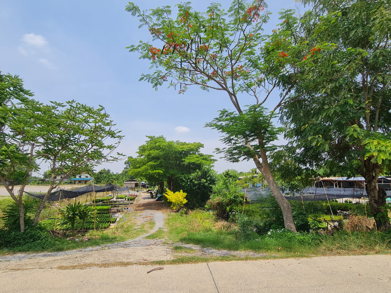 ขายที่ดินเปล่า ทำเลดี 6ไร่ 78 ตร.วา ซอยวัดพระเงิน บางม่วง นนทบุรี – รูปที่ 2