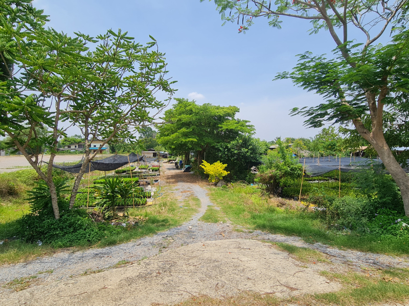 ขายที่ดินเปล่า ทำเลดี 6ไร่ 78 ตร.วา ซอยวัดพระเงิน บางม่วง นนทบุรี – รูปที่ 3