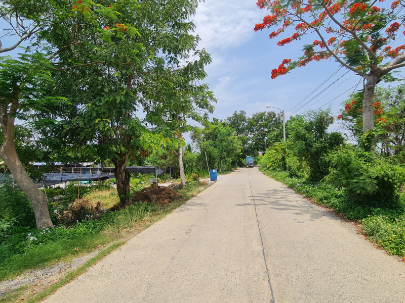 ขายที่ดินเปล่า ทำเลดี 6ไร่ 78 ตร.วา ซอยวัดพระเงิน บางม่วง นนทบุรี – รูปที่ 4