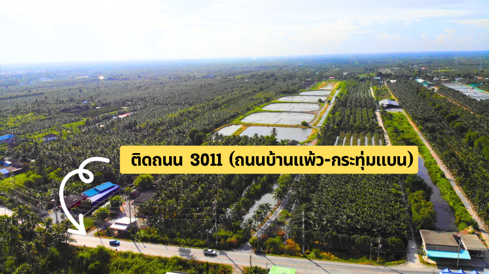 ขายที่ดินบ้านแพ้ว บ่อกุ้ง 48-1-43 ไร่ ติดถนนและคลองดำเนินสะดวก ขายที่ดินบ้านแพ้ว บ่อกุ้ง 48-1-43 ไร่ ติดถนนและคลองดำเนินสะดวก