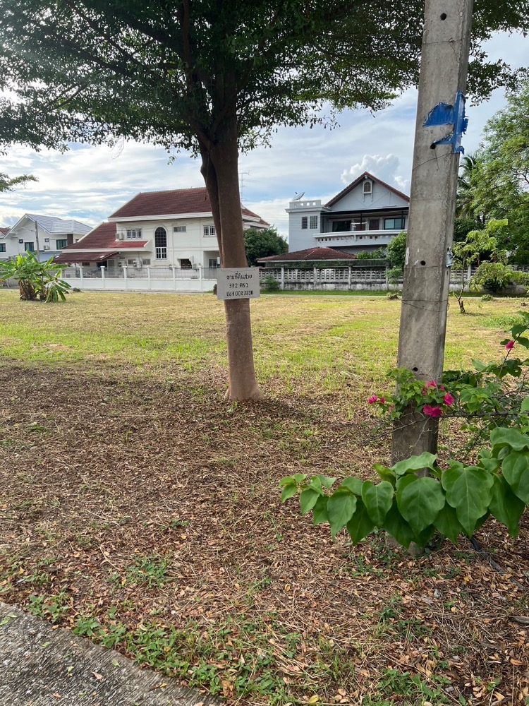 Beautiful land, Na Thong Village, Phitsanulok – รูปที่ 2