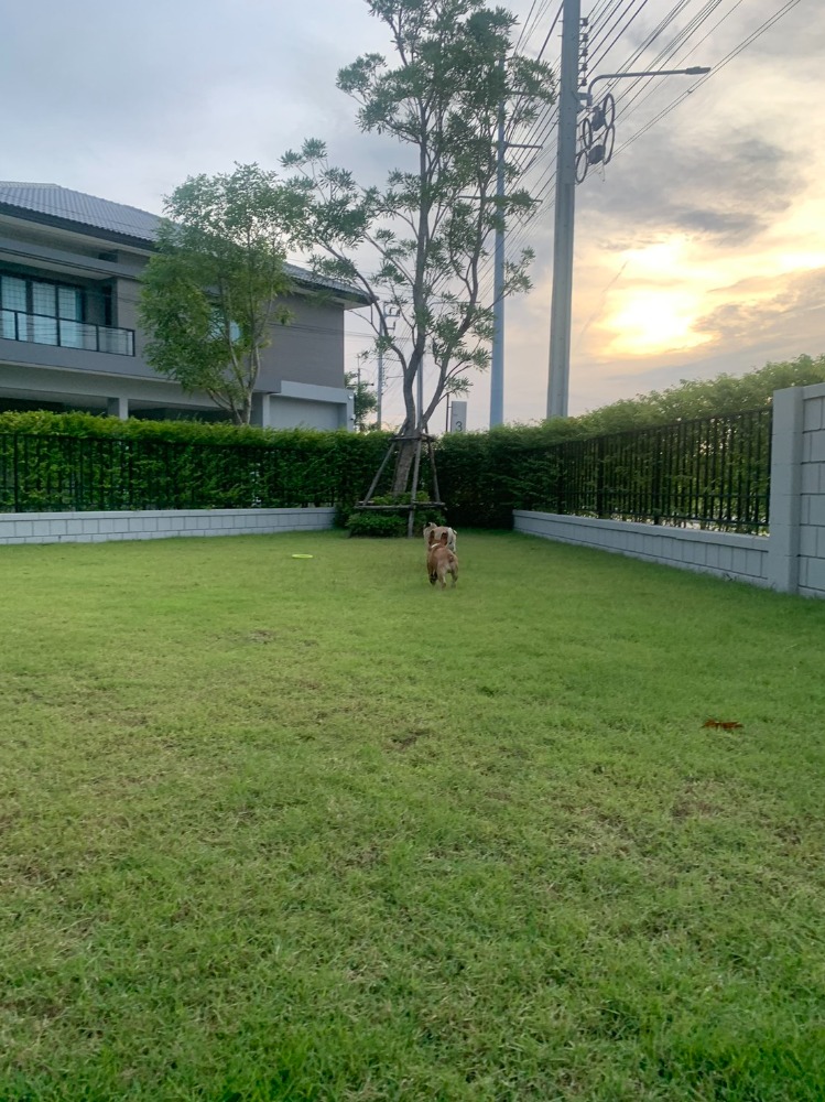 For sale: 2-storey detached house, Centro Ratchaphruek-Suanpak on Bang Kruai - Chong Tanom Road – รูปที่ 4