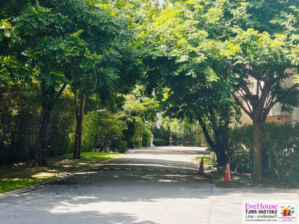 ขายที่ดิน ลาดพร้าว ใกล้แยกรัชดา-ลาดพร้าว สภาพแวดล้อมดีมาก ขนาด 2-3-82 ไร่ ตารางวาละ 250,000 บาท ราคารวม 295,500,000 บาท 3 กิโลเมตร จากห้าแยกลาดพร้าว – รูปที่ 2