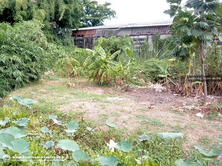 House for sale with land area of ​​558 square wah, located on Pathum Thani inner road, about 200 meters into the alley.