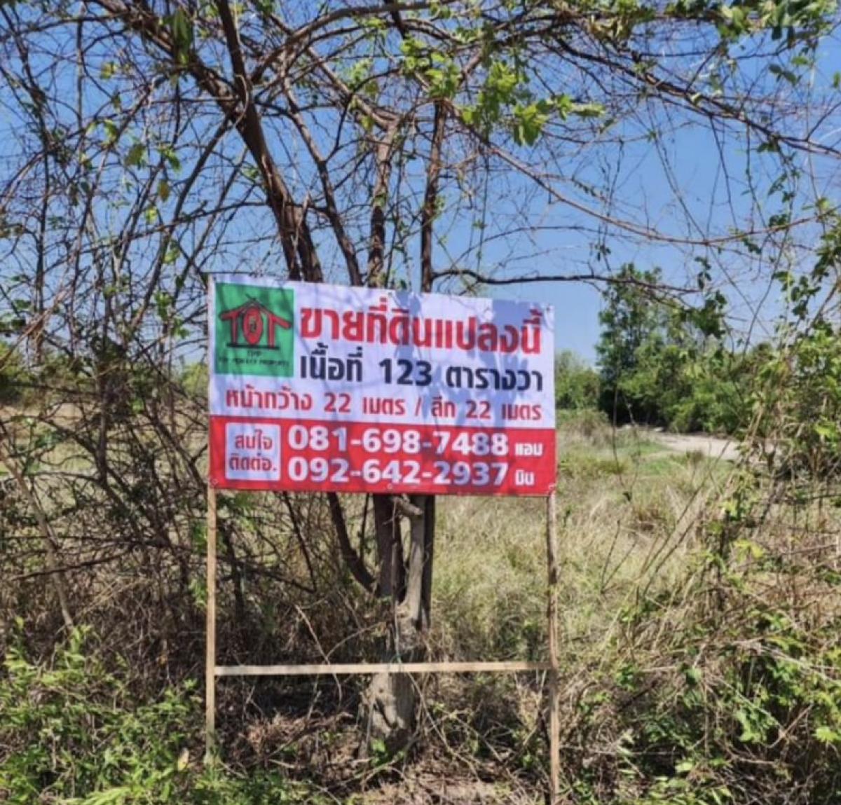 ขายที่ดินเปล่า พื้นที่123ตารางวา ต.บวกค้าง อ.สันกำแพง จ.เชียงใหม่ ขายที่ดินเปล่า พื้นที่123ตารางวา ต.บวกค้าง อ.สันกำแพง จ.เชียงใหม่