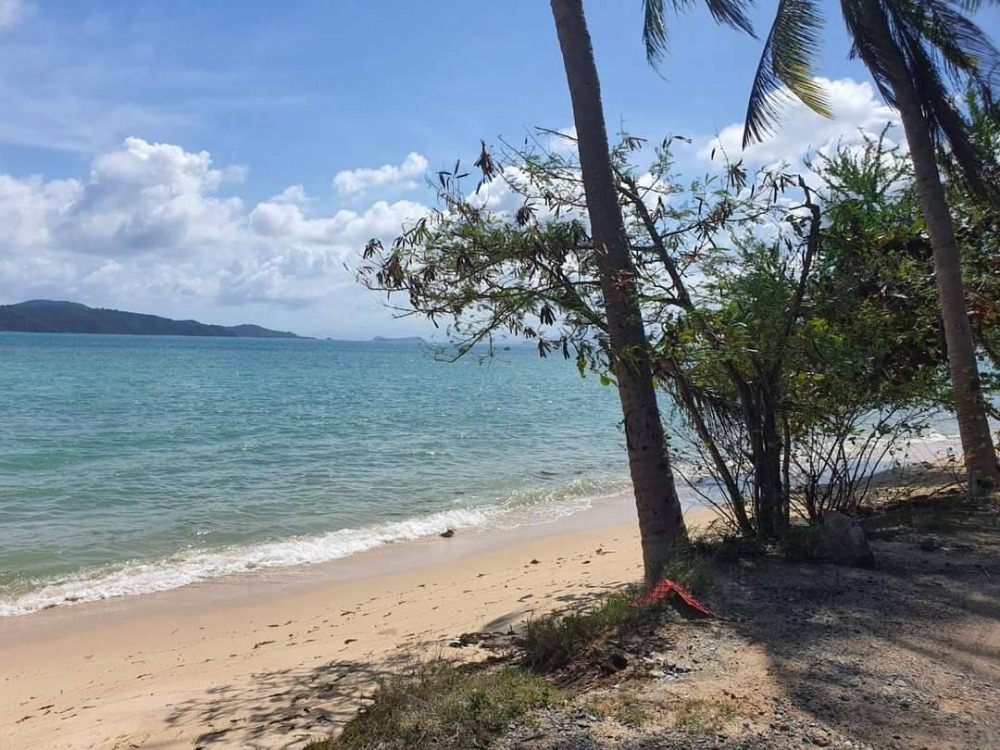 S-LSSB101 Land for sale, Sunset Beach (land on Koh Samui), total area of 2 plots connected, 4 rai, 3 ngan, 42 sq m, 145 million, 064-959-8900 S-LSSB101 Land for sale, Sunset Beach (land on Koh Samui), total area of 2 plots connected, 4 rai, 3 ngan, 42 sq m, 145 million, 064-959-8900
