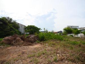 ที่ดินในเมือง หน้าโรงพยาบาลป่าโมก ที่แปลงสวย, อ่างทอง