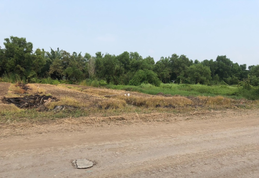 Urgent sale, entire plot 6 rai 48 sq m. Urgent sale, entire plot 6 rai 48 sq m.