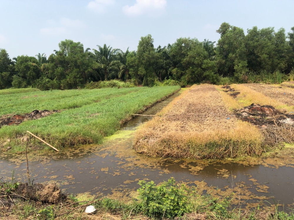 Urgent sale, entire plot 6 rai 48 sq m. – รูปที่ 2