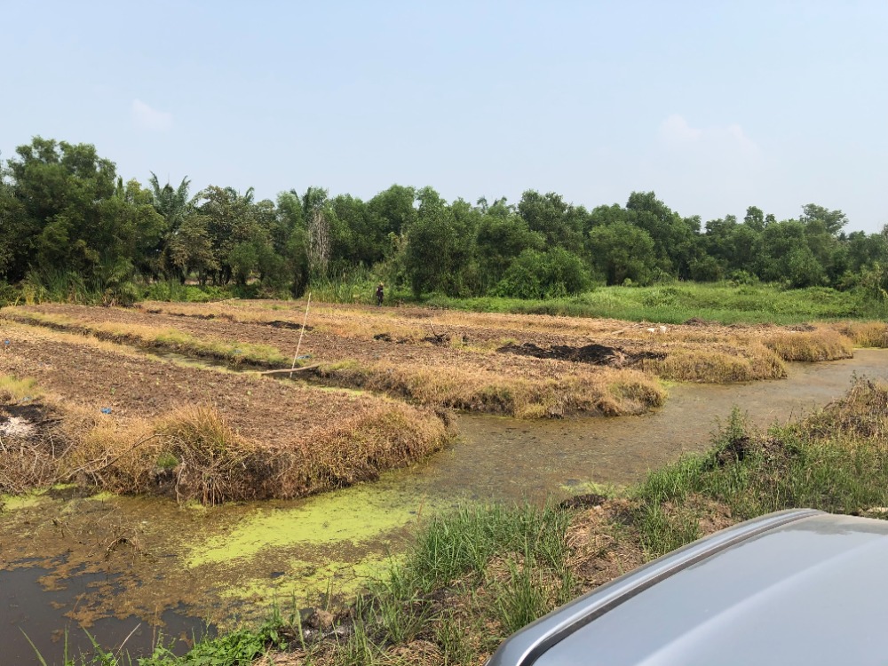 Urgent sale, entire plot 6 rai 48 sq m. – รูปที่ 3