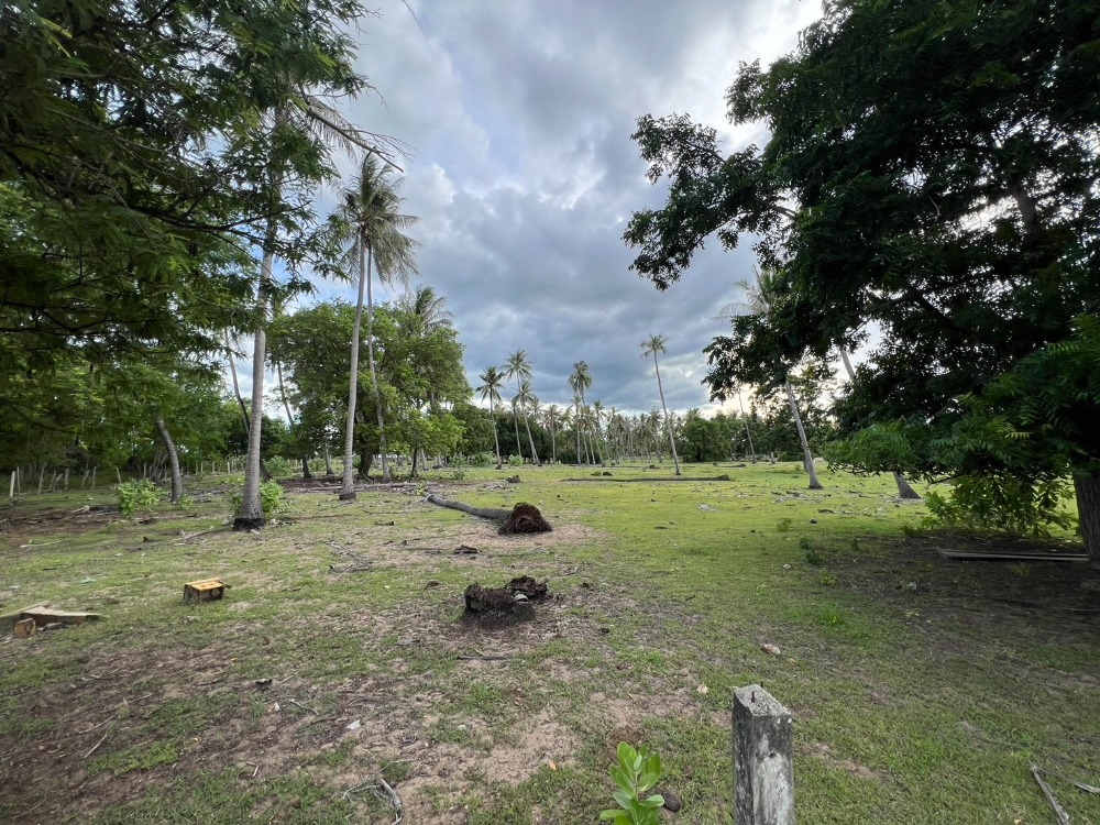 Urgent sale, seaside land, size 10-0-37 rai, in Bon Nok Subdistrict, Mueang Prachuap Khiri Khan District.