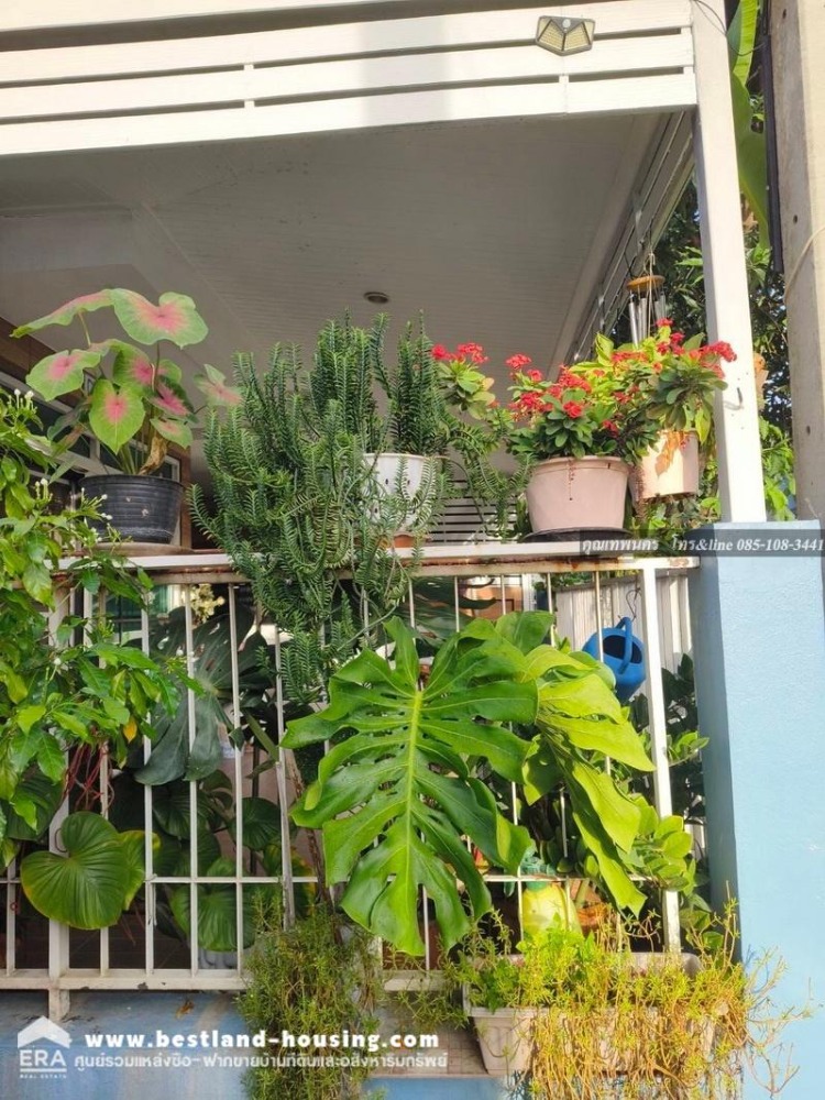 ขายทาวน์เฮ้าส์ 2 ชั้น 24 ตรว. หมู่บ้านธนนันท์ วิลเลท คลองสาม คลองหลวง ปทุมธานี – รูปที่ 4