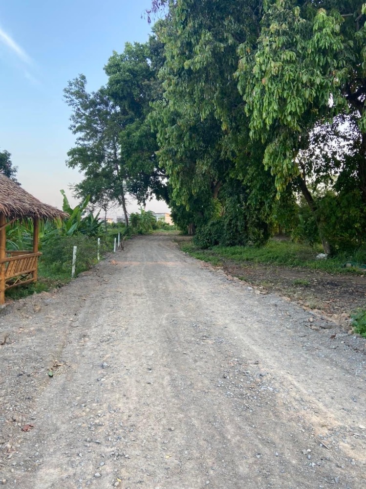 Land Laemchabang / 1 Rai 3 Ngan 90 Square Wa (FOR SALE) NEWC213