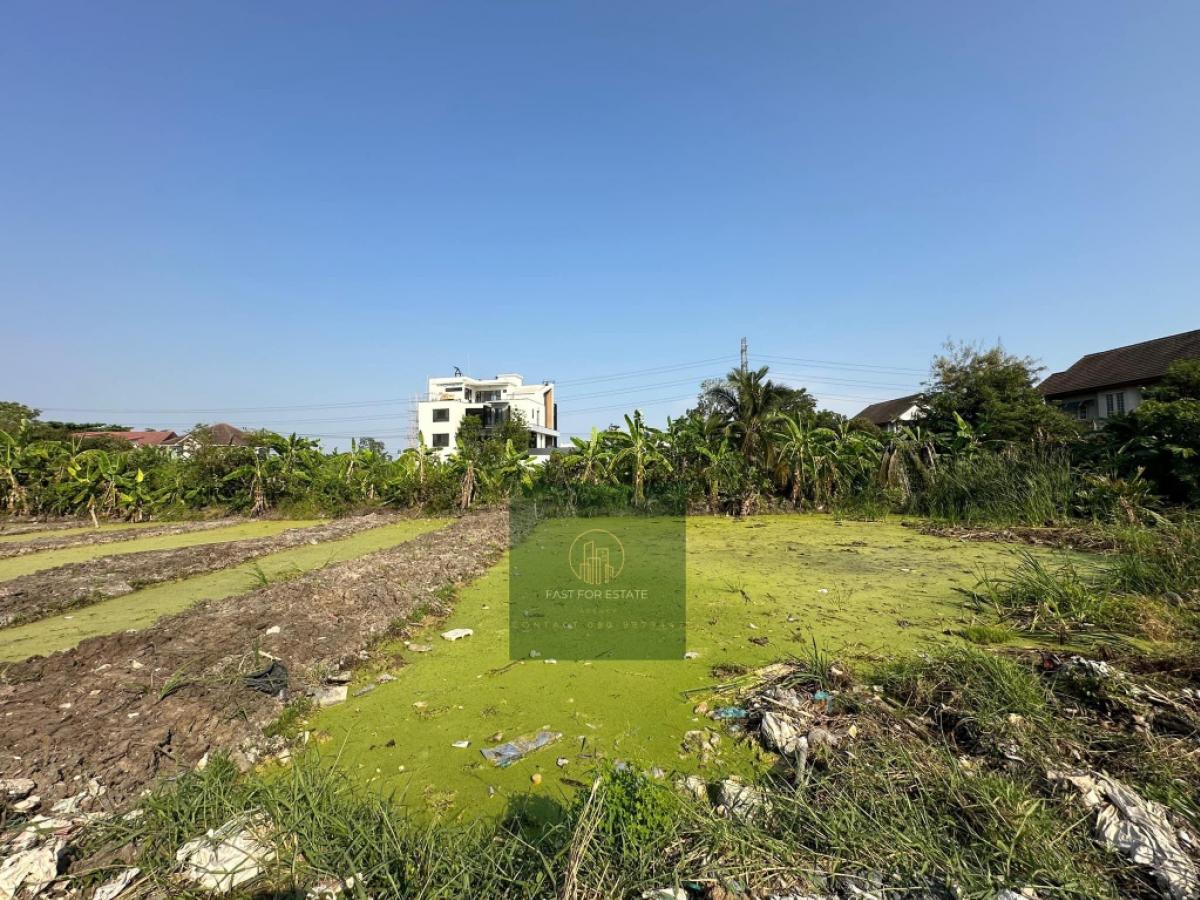 ขายที่ดิน🌱แปลงสวย ใกล้ พาซิโอ้ กาญจนาภิเษก เข้าซอยนิดเดียว คุ้มค่า ราคาถูกมาก – รูปที่ 4