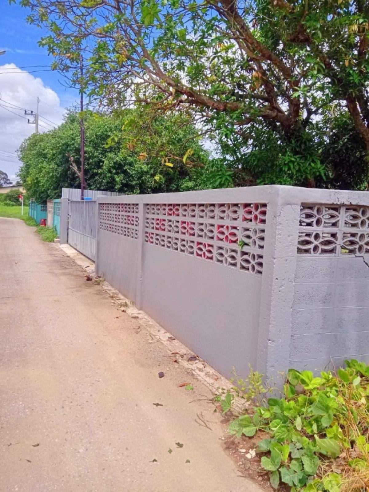 Land for sale, 159 sq m, Pa Kha, Ban Na, Nakhon Nayok Land for sale, 159 sq m, Pa Kha, Ban Na, Nakhon Nayok