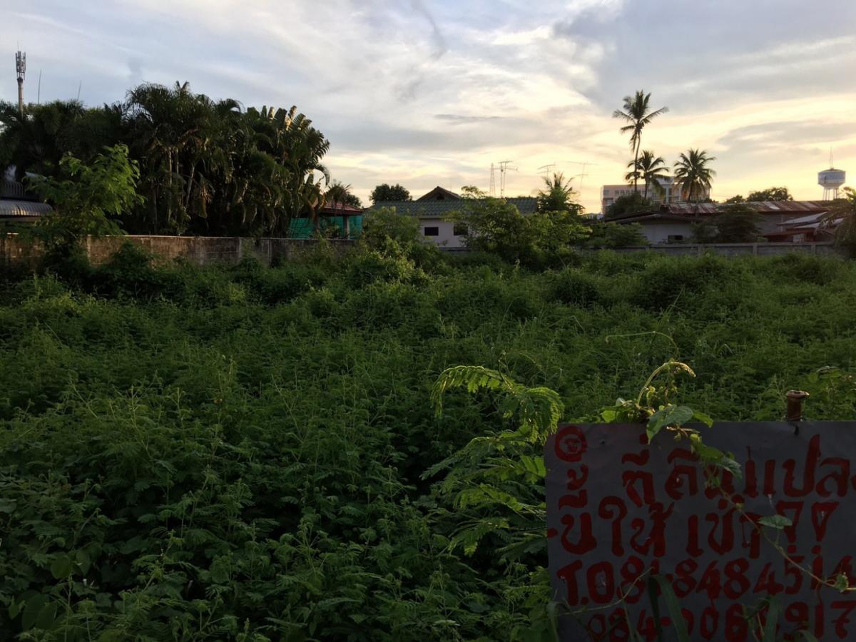 ให้เช่าที่ดินเปล่า ถมแล้ว – รูปที่ 4