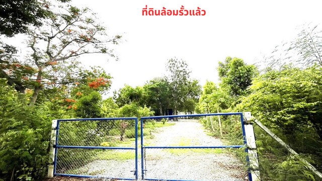 Land for sale, filled in, 373 square wa, view of the golf course and lake in the Bang Sai Country Club golf course project, Bang Phli Subdistrict, Bang Sai District, Ayutthaya Province – รูปที่ 4