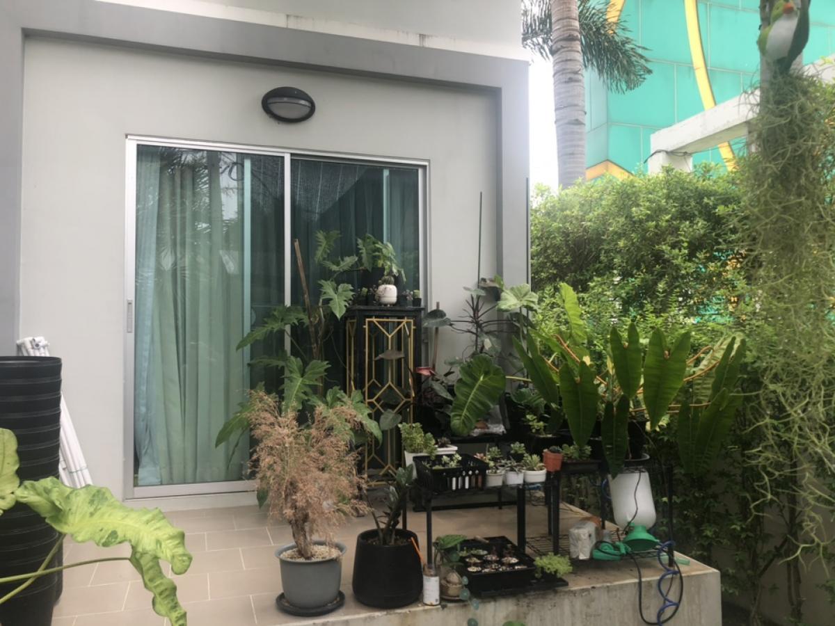 House for sale, Villa Nova Sai Mai! – รูปที่ 4