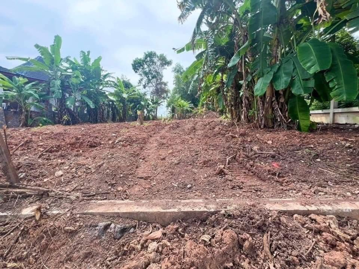 Land for sale near Maepim Beach 500 m., Klaeng District, Rayong Province. Land for sale Laem Maepim Beach 500 m. – รูปที่ 3