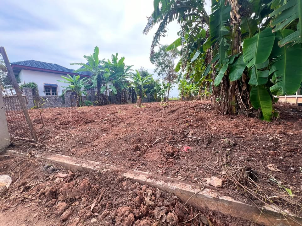 Land for sale near Maepim Beach 500 m., Klaeng District, Rayong Province. Land for sale Laem Maepim Beach 500 m. – รูปที่ 2