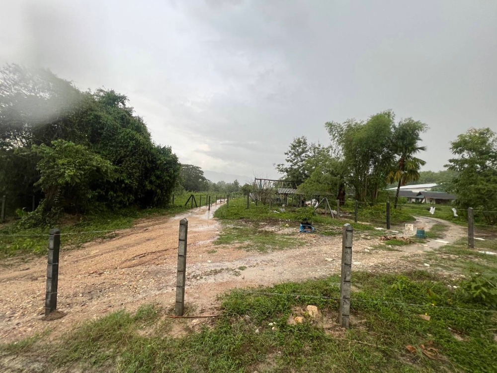 Land for sale near the hot spring, Chae Son, Lampang – รูปที่ 2