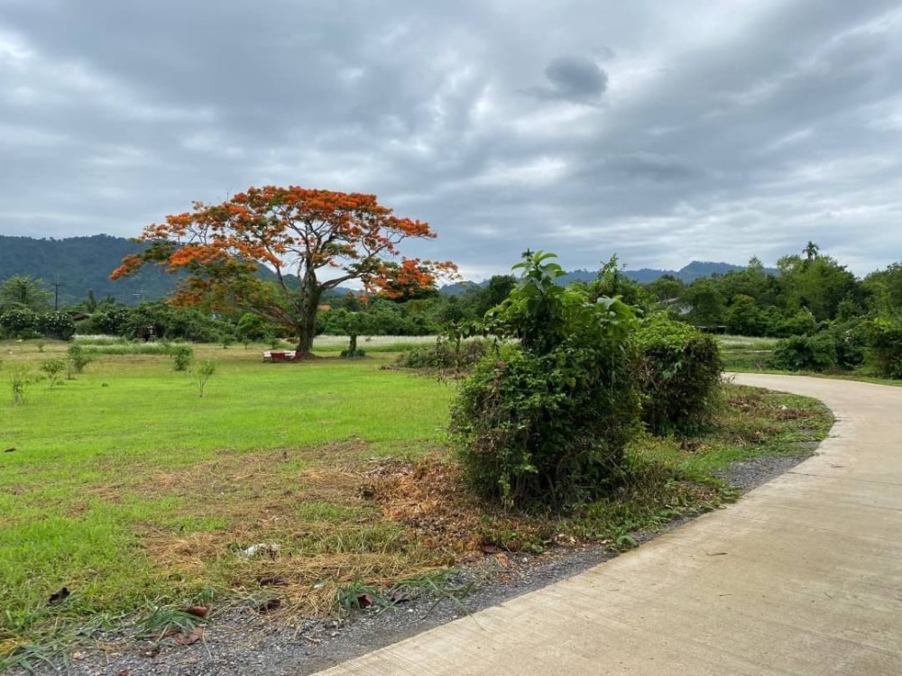 Land for sale, 5 rai, Sarika Subdistrict, Nakhon Nayok Province, front facing a canal, back facing a mountain view – รูปที่ 4