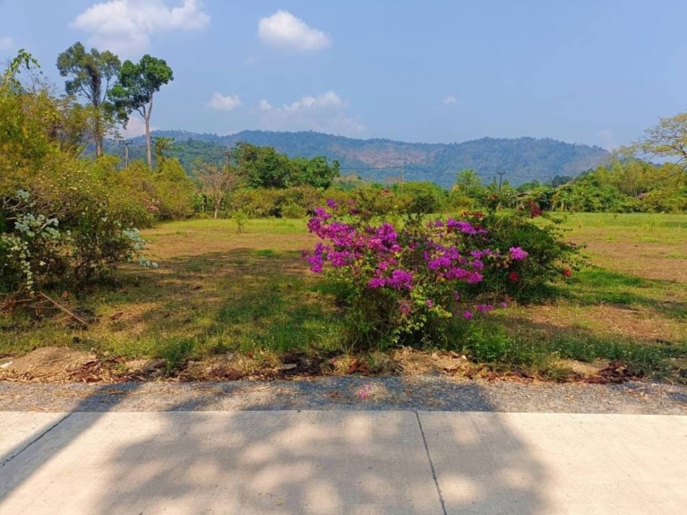 Land for sale, 5 rai, Sarika Subdistrict, Nakhon Nayok Province, front facing a canal, back facing a mountain view – รูปที่ 2