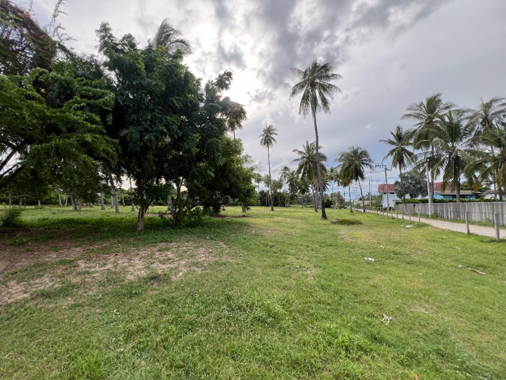 Urgent sale, beautiful land plot, next to the sea, size 5-3-82 rai, in Bon Nok Subdistrict, Mueang Prachuap Khiri Khan District.