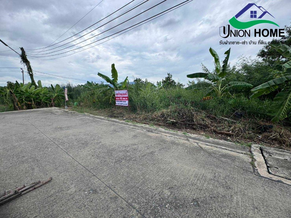 Empty land filled in, Rangsit-Nakhon Nayok Road 33, Khlong 2, Thanyaburi (N1324) Empty land filled in, Rangsit-Nakhon Nayok Road 33, Khlong 2, Thanyaburi (N1324)