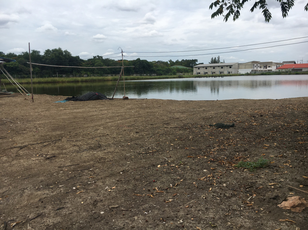 Land for sale, Samut Sakhon, Soi Rong Gas, Bang Pla, Setthakit Road 1, size 37 rai 1 ngan 1.4 sq wa. – รูปที่ 2