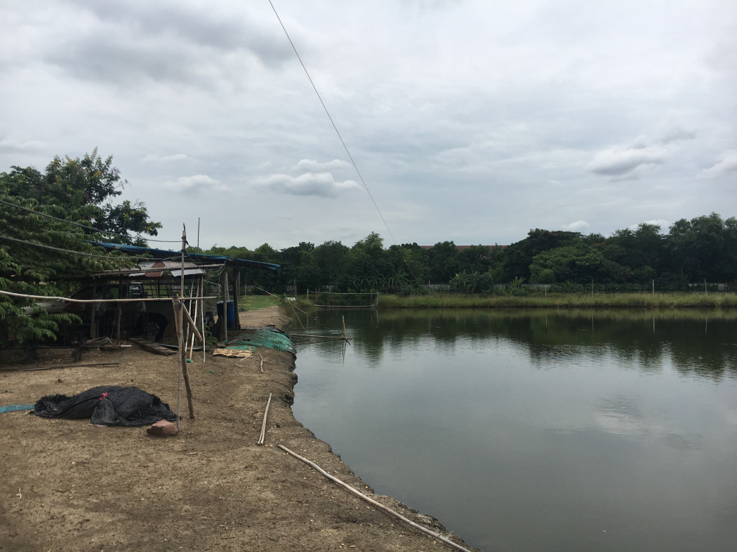 Land for sale, Samut Sakhon, Soi Rong Gas, Bang Pla, Setthakit Road 1, size 37 rai 1 ngan 1.4 sq wa. – รูปที่ 3