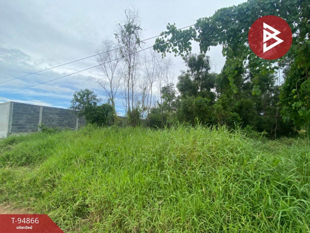 Urgent sale of vacant land, area 2 ngan, Lat Lum Kaeo, Pathum Thani – รูปที่ 3