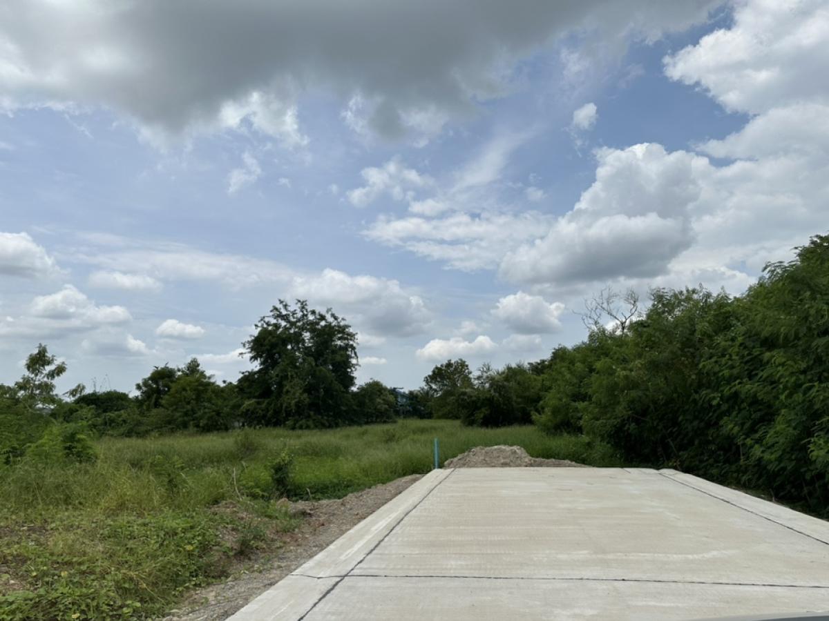 #Urgent sale, raised plot of land 5-1-28.3 rai #Best price, near Phra Pathom Chedi, Central, Synphaet Hospital, next to concrete road, drainage pipe, electricity in front of the plot, suitable for #housing project #Urgent sale, raised plot of land 5-1-28.3 rai #Best price, near Phra Pathom Chedi, Central, Synphaet Hospital, next to concrete road, drainage pipe, electricity in front of the plot, suitable for #housing project