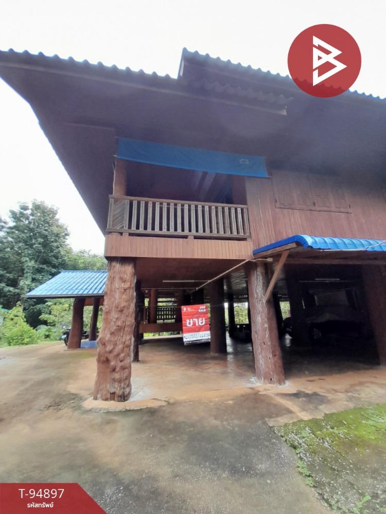 For sale: Wooden house with land planted with teak trees covering the entire area, area 7 rai, 2 ngan, 24 sq m, Wang Chin, Phrae – รูปที่ 3