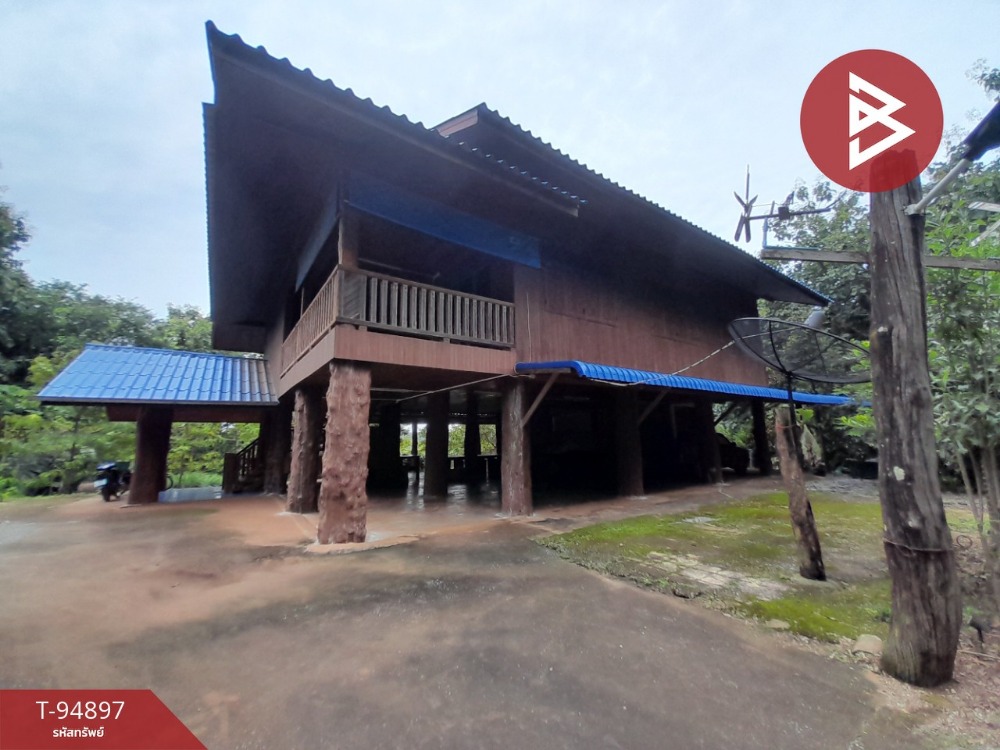 For sale: Wooden house with land planted with teak trees covering the entire area, area 7 rai, 2 ngan, 24 sq m, Wang Chin, Phrae – รูปที่ 4