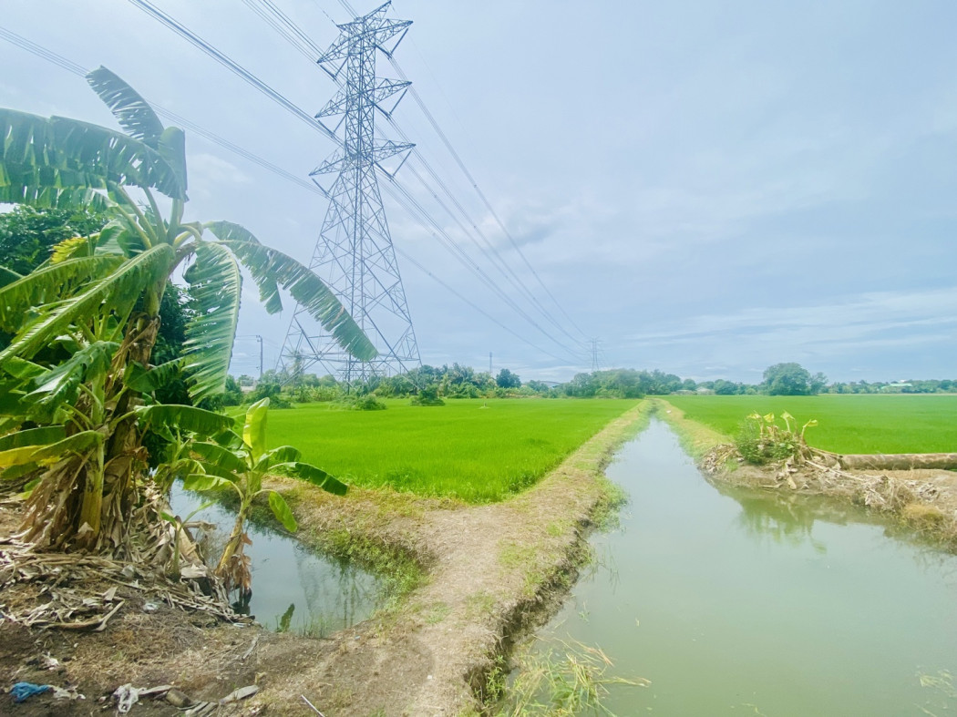 ขาย ที่ดิน บางบัวทอง ติดถนนวัดลาดปลาดุก เนื้อที่ 23 ไร่ – รูปที่ 4