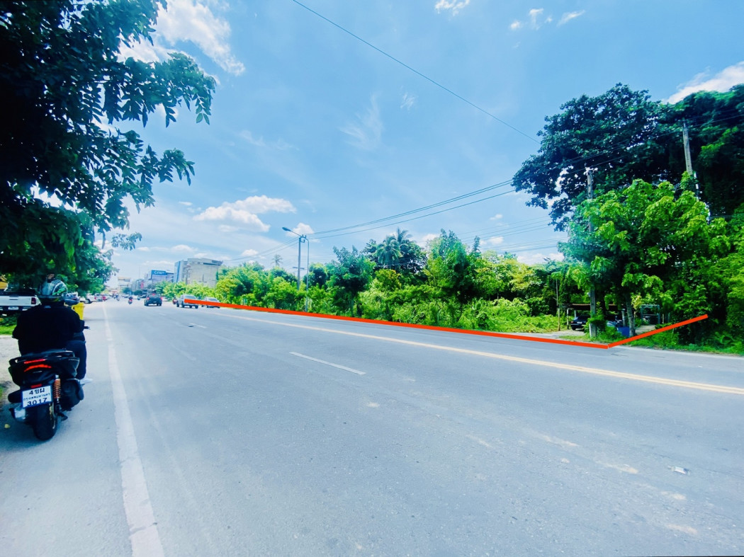 ขาย ที่ดิน ใกล้วัดสวนแก้ว บางใหญ่ ติดถนนบางกรวย - ไทรน้อย เนื้อที่ 4 ไร่ 3 งาน 17 ตรว – รูปที่ 2