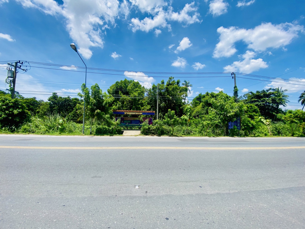 ขาย ที่ดิน ใกล้วัดสวนแก้ว บางใหญ่ ติดถนนบางกรวย - ไทรน้อย เนื้อที่ 4 ไร่ 3 งาน 17 ตรว – รูปที่ 4