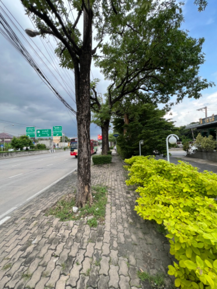 ขาย ที่ดินแปลงสวย ทำเลดีใจกลางเมือง 280 ตรว. ติดถนนประเสริฐมนูญกิจ22 – รูปที่ 3