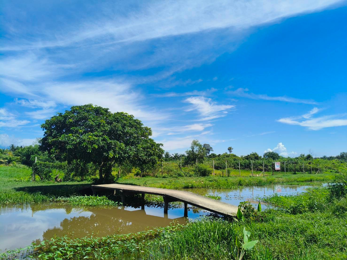 Land for sale near Thapae Market, 2 rai, 2 ngan, 71.8 sq.wa., suitable for agricultural farming. Land for sale near Thapae Market, 2 rai, 2 ngan, 71.8 sq.wa., suitable for agricultural farming.