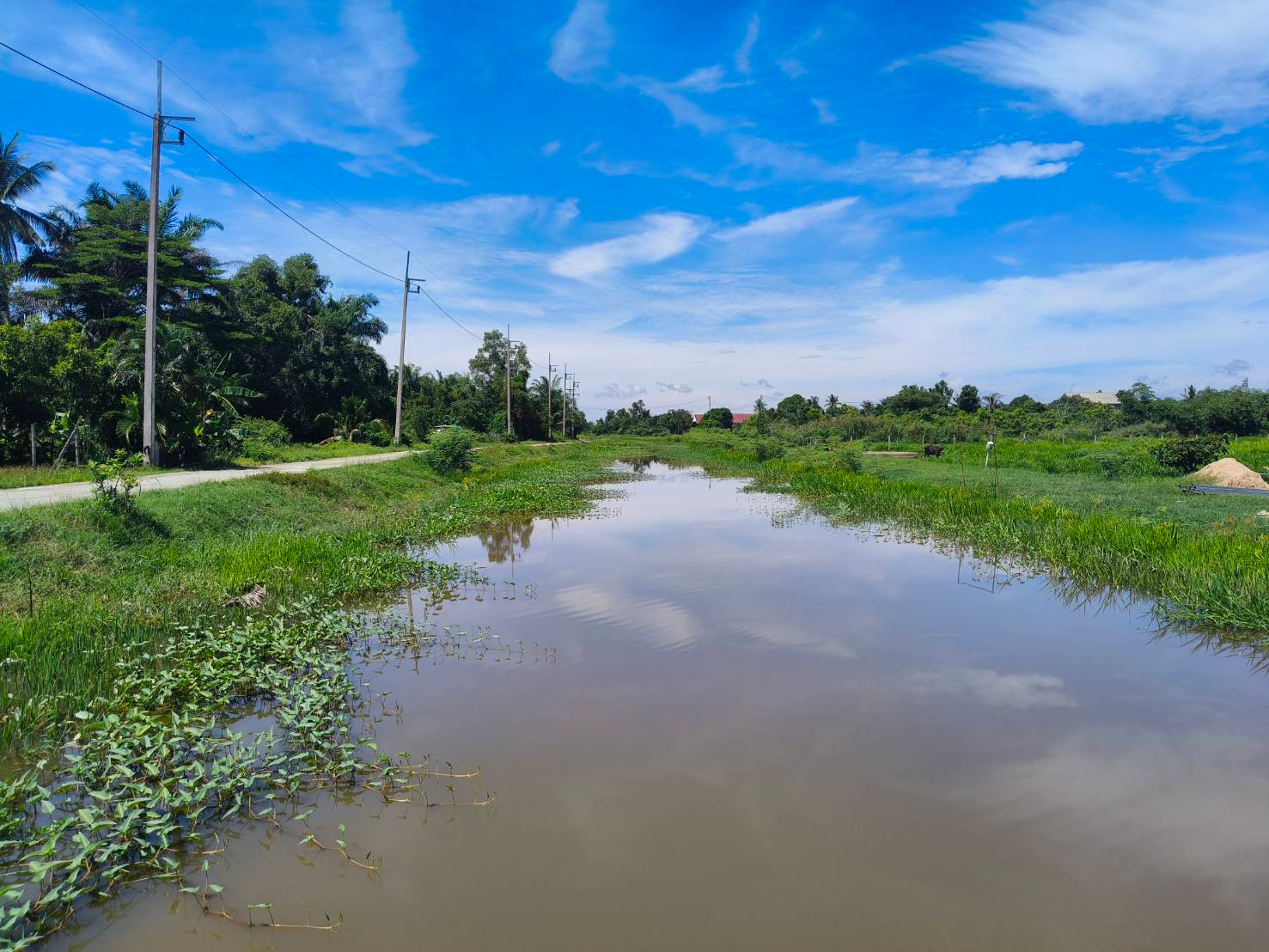 Land for sale near Thapae Market, 2 rai, 2 ngan, 71.8 sq.wa., suitable for agricultural farming. – รูปที่ 3
