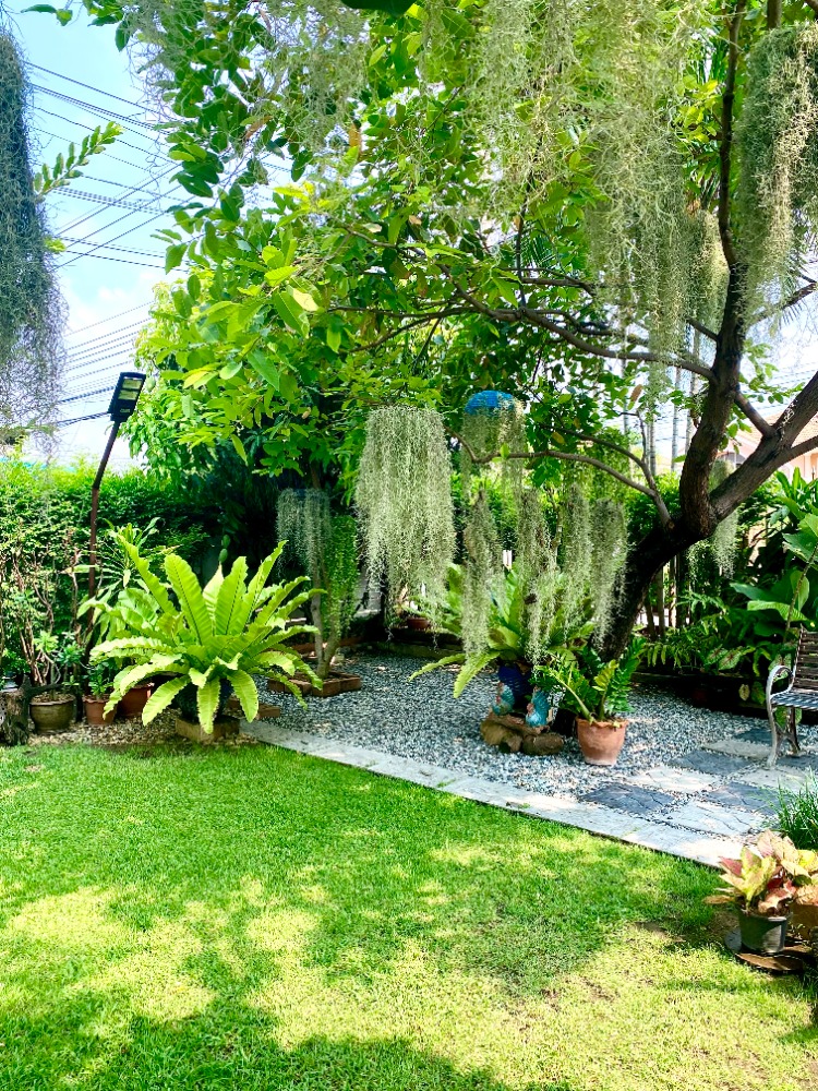 บ้านเดี่ยว 2 ชั้น หมู่บ้าน พฤกษา 15 – รูปที่ 4