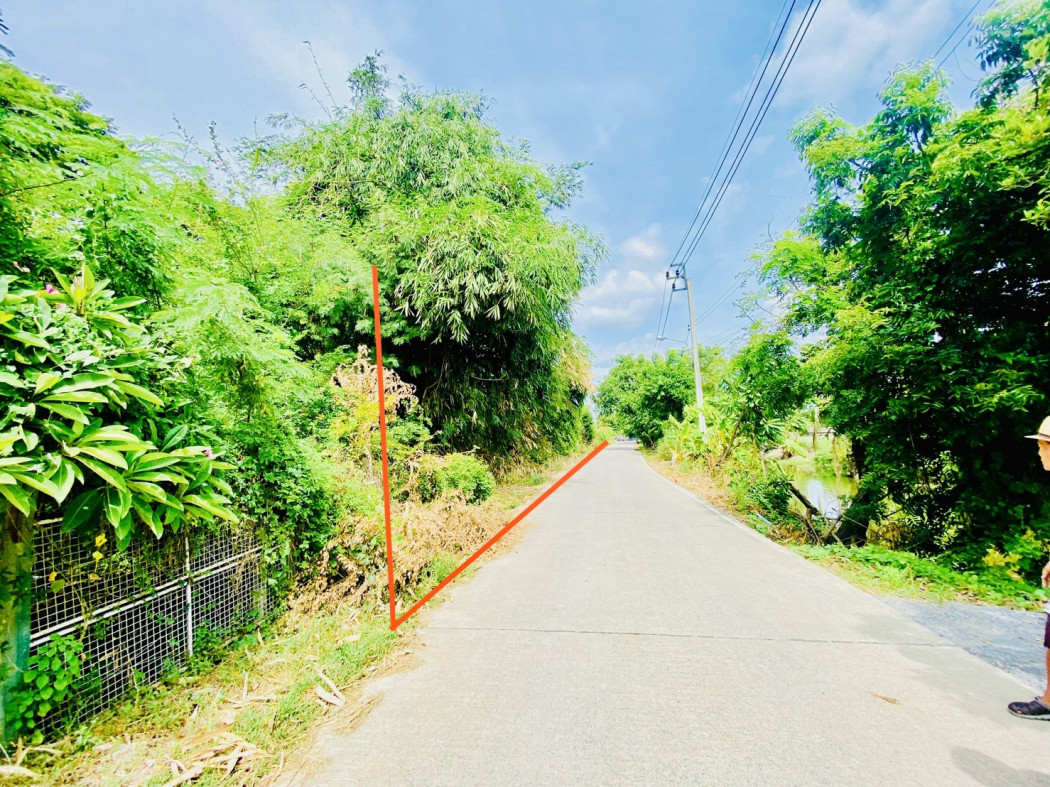 ขาย ที่ดิน บางใหญ่ คลองถนน เนื้อที่ 38 ไร่ 12 ตรว ขาย ที่ดิน บางใหญ่ คลองถนน เนื้อที่ 38 ไร่ 12 ตรว