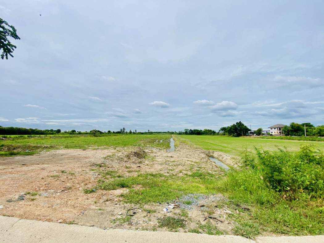ขาย ที่ดิน บางใหญ่ คลองถนน เนื้อที่ 38 ไร่ 12 ตรว – รูปที่ 4