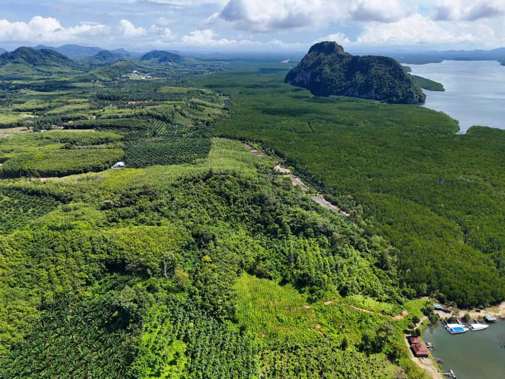Seaview Land for Sale – Prime Investment Opportunity Near Krabi, Ideal for Resort, Pool Villa, or Luxury Development Seaview Land for Sale – Prime Investment Opportunity Near Krabi, Ideal for Resort, Pool Villa, or Luxury Development