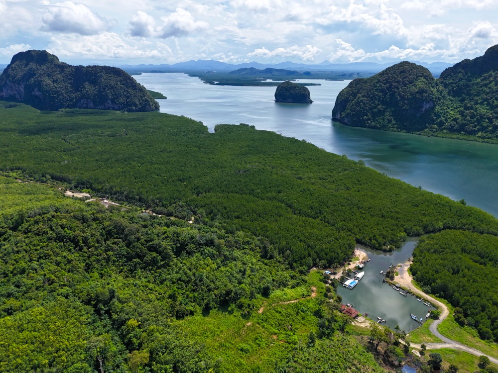 ขายที่ดินวิวทะเล ทำเลศักยภาพ ใกล้กระบี่ เหมาะพัฒนารีสอร์ท พูลวิลล่า หรือโครงการลงทุน – รูปที่ 3