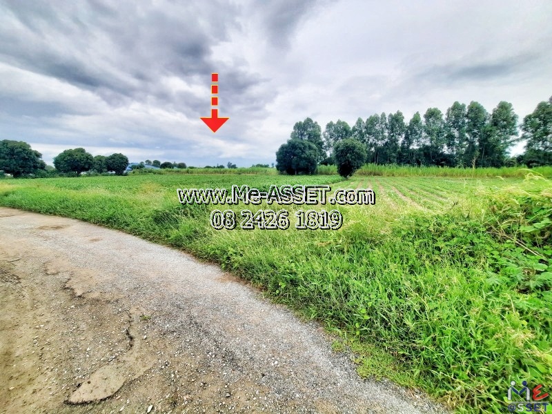 Land for sale in the area along the canal, irrigation, Muang Tarot, Huai Khwang, Kamphaengsaen Nakhon Pathom: Near Ban Suan Chomchan And Chawaln Resort: 4 Rai: Code NN-91352
Land for sale in the area along the canal, irrigation, Muang Tarot, Huai Khwang, Kamphaengsaen Nakhon Pathom: Near Ban Suan Chomchan And Chawaln Resort: 4 Rai: Code NN-91352